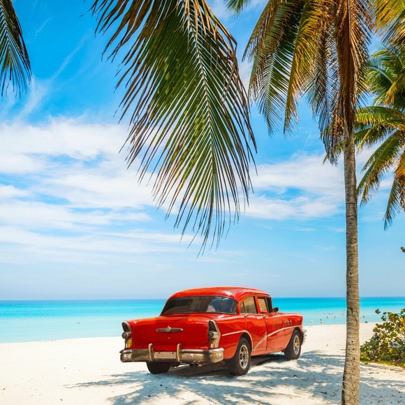 Meet your Posher, Olga - Picture 2 of 2